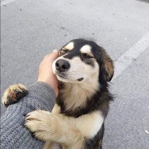 Meet your Posher, Eva